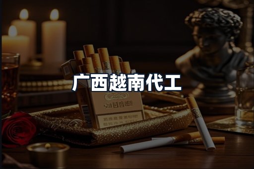 广西越南代工